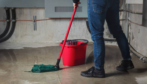 Trusted Remsenburg Speonk, NY Water damage restoration Experts
