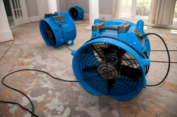Best Commercial water damage restoration  in Remsenburg Speonk, NY