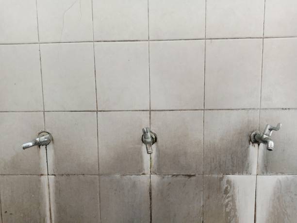 Best Basement water damage restoration  in Remsenburg Speonk, NY