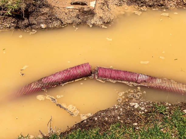Sewage cleanup and water damage restoration in Remsenburg Speonk, NY