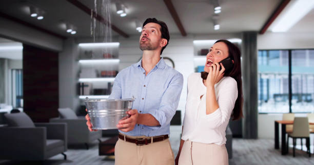 Best Mold removal after water damage  in Remsenburg Speonk, NY